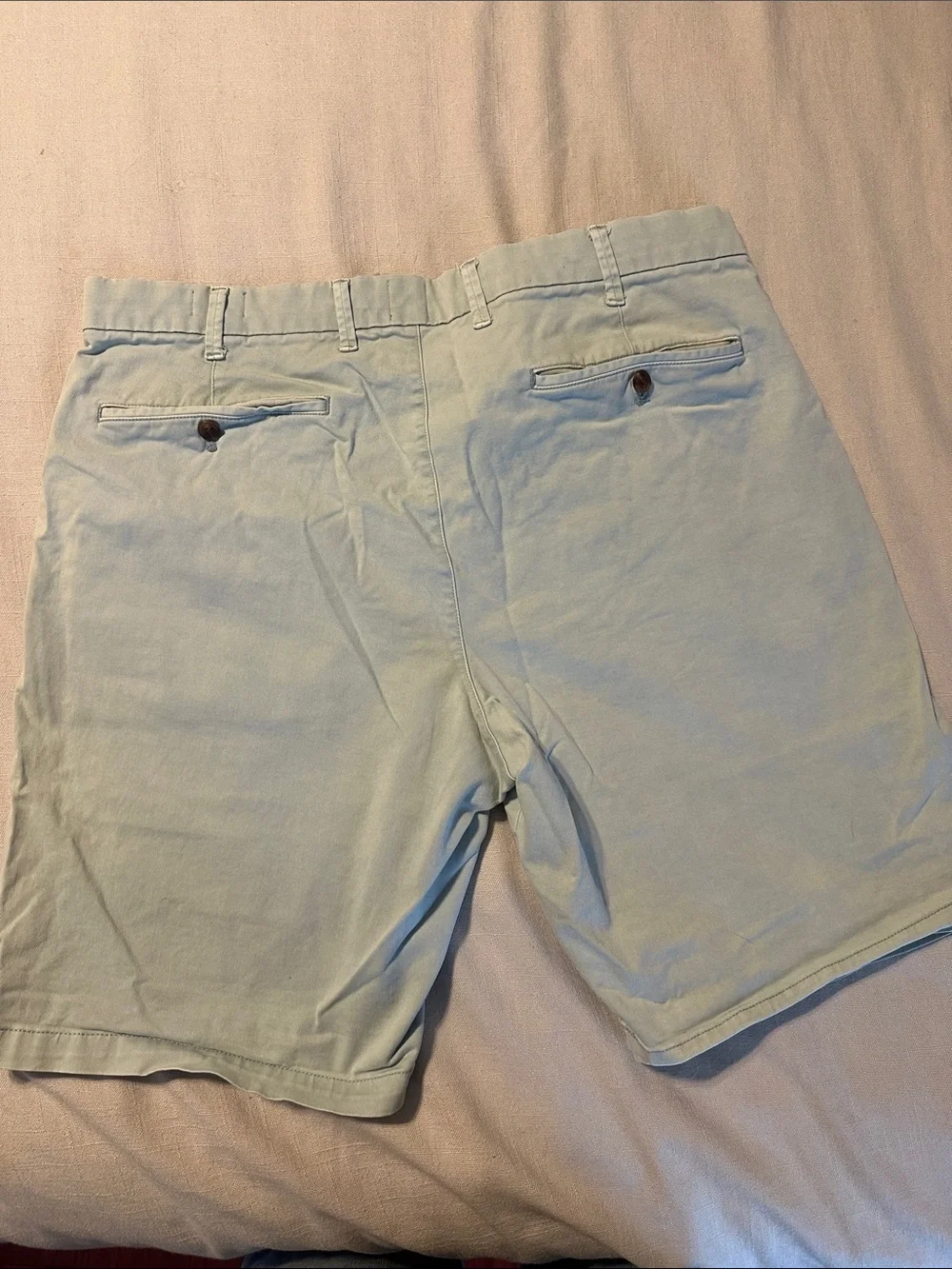 GAP Men's Pale Blue Flat Front Chino Shorts